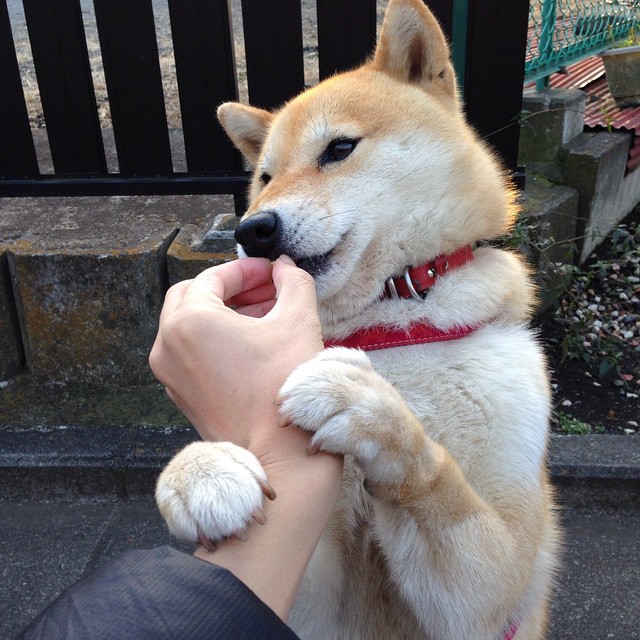 亚洲铁闸燃爆欧洲!富安健洋一战封神,生涯之夜撼动墨西哥与塞维利亚